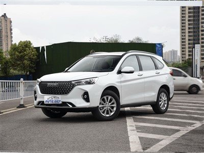 Coche de gasolina Haval M6